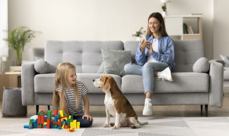 Are Pest Control Treatments Safe for Kids and Pets in Raleigh?